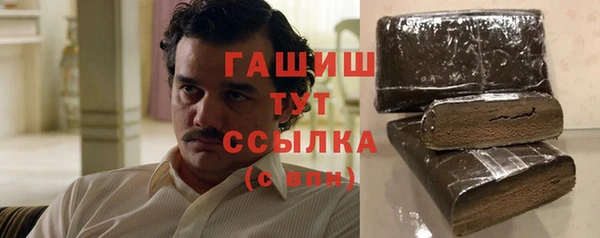 гидра Заводоуковск