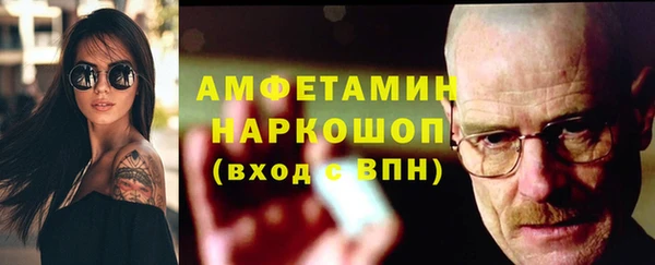 гидра Заводоуковск