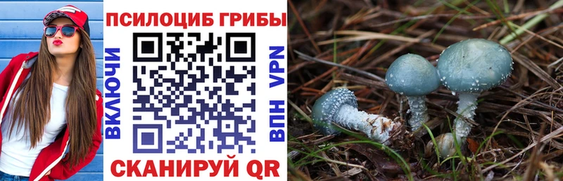 Псилоцибиновые грибы MAGIC MUSHROOMS Купить Оренбург
